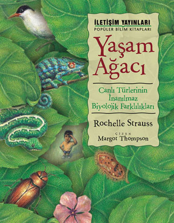 Yaşam Ağacı Yaşam Ağacı