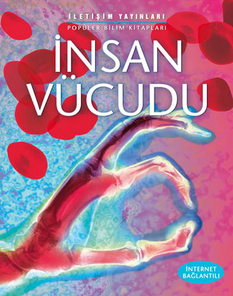 İnsan Vücudu İnsan Vücudu