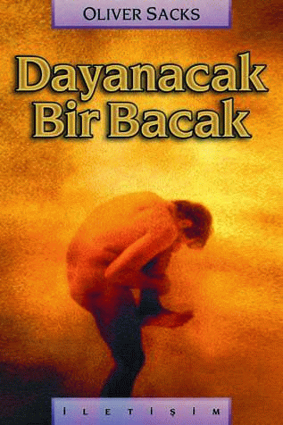 Dayanacak Bir Bacak Dayanacak Bir Bacak