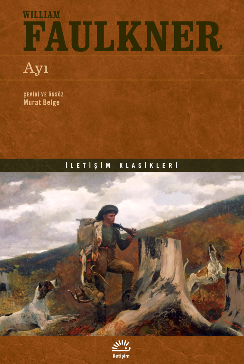 Ayı Ayı