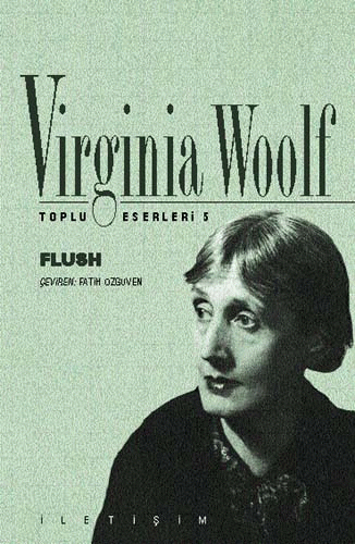 Flush Flush