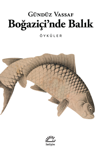 Boğaziçi’nde Balık Boğaziçi’nde Balık