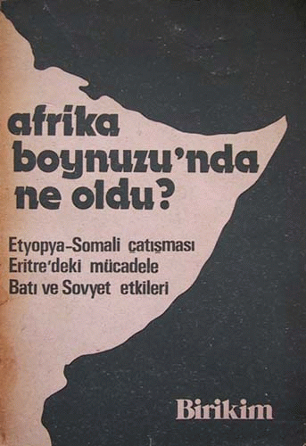 Afrika Boynuzu'nda Ne Oldu? Afrika Boynuzu'nda Ne Oldu?