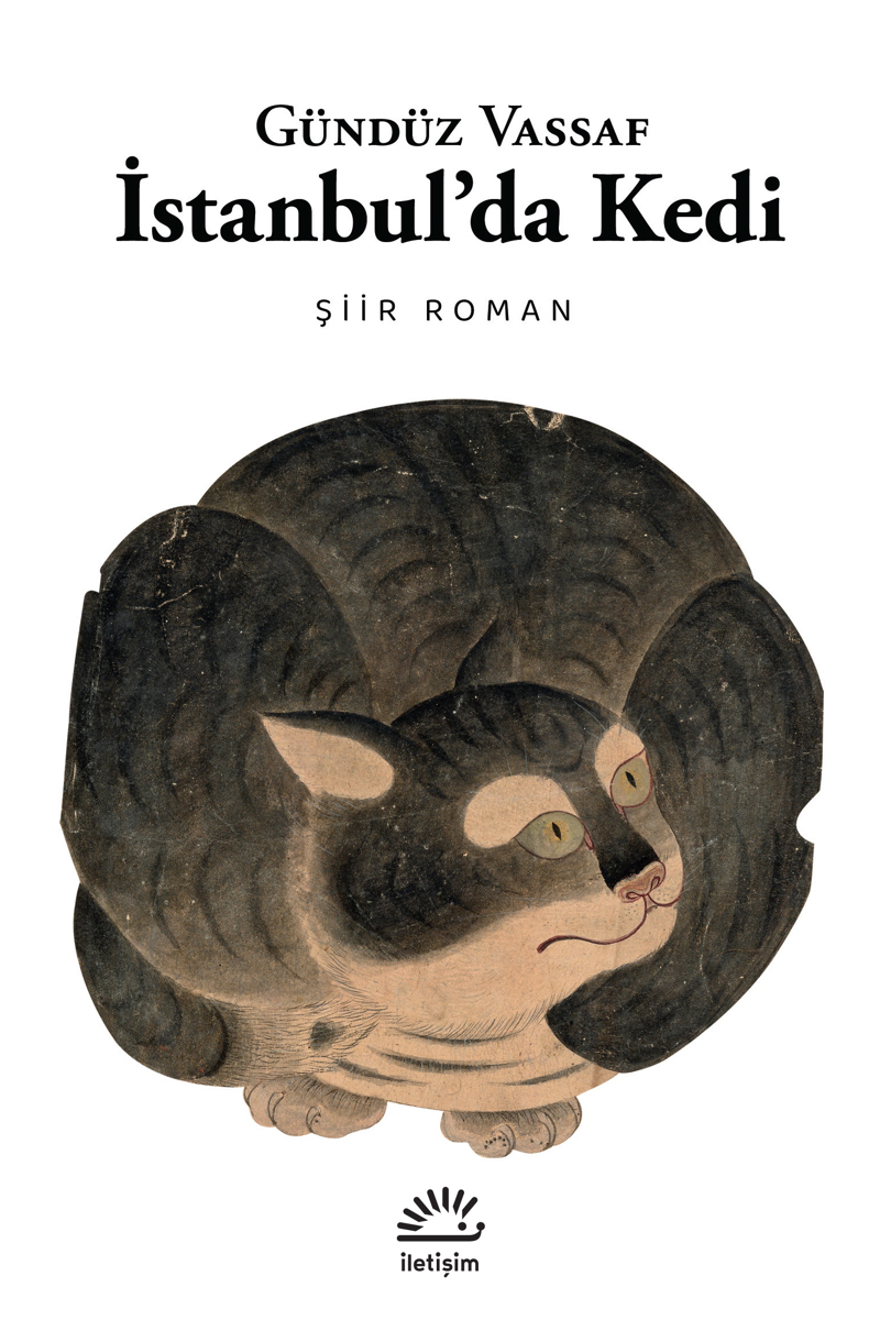 İstanbul’da Kedi İstanbul’da Kedi