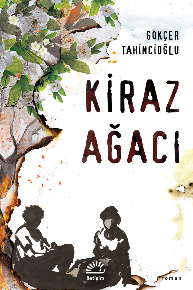 Kiraz Ağacı Kiraz Ağacı