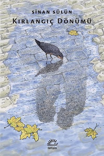 Kırlangıç Dönümü Kırlangıç Dönümü