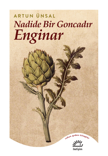 Nadide Bir Goncadır Enginar Nadide Bir Goncadır Enginar